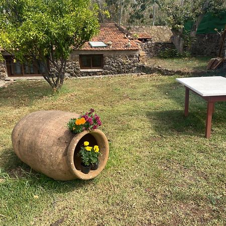 Rural House To Take A Break, La Serreria 25 - Private Garden Такоронте Экстерьер фото