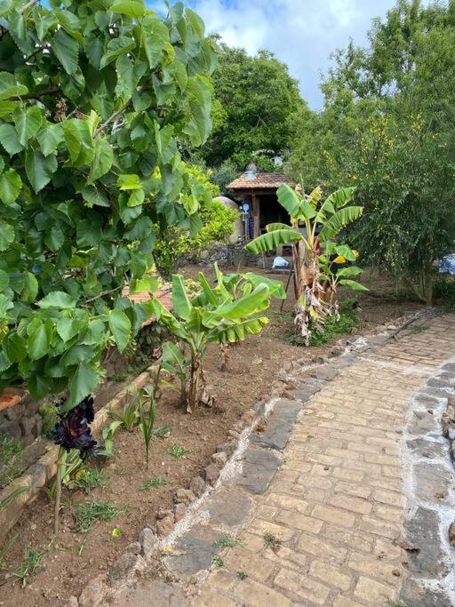 Rural House To Take A Break, La Serreria 25 - Private Garden Такоронте Экстерьер фото