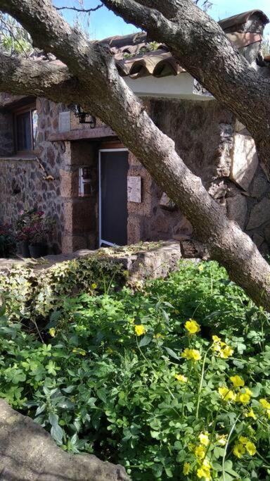 Rural House To Take A Break, La Serreria 25 - Private Garden Такоронте Экстерьер фото