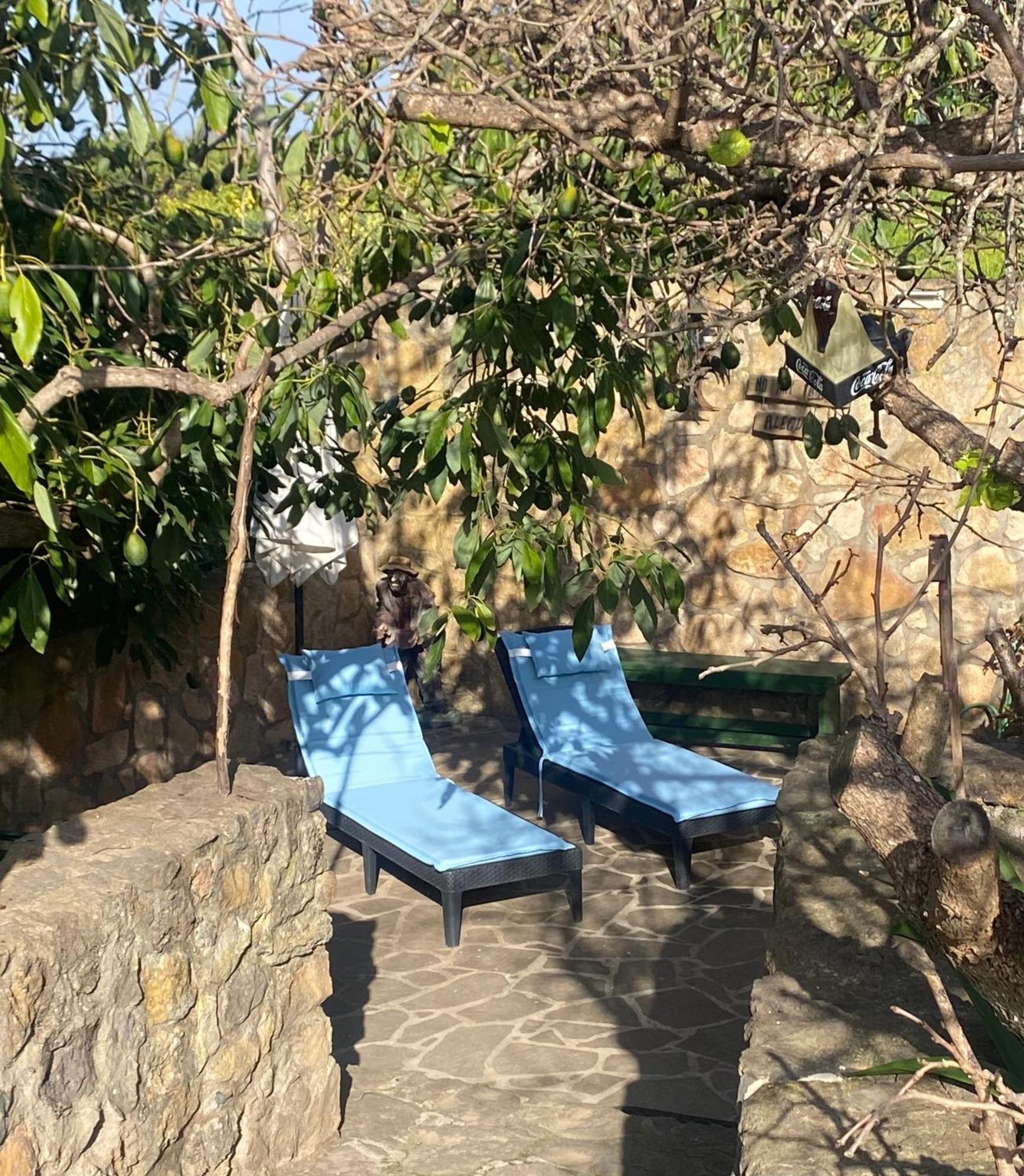 Rural House To Take A Break, La Serreria 25 - Private Garden Такоронте Экстерьер фото